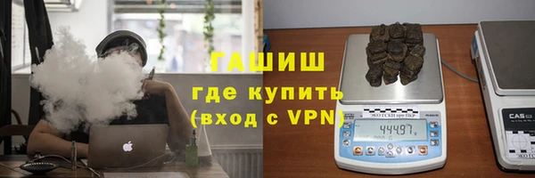 прущие грибы Елизово